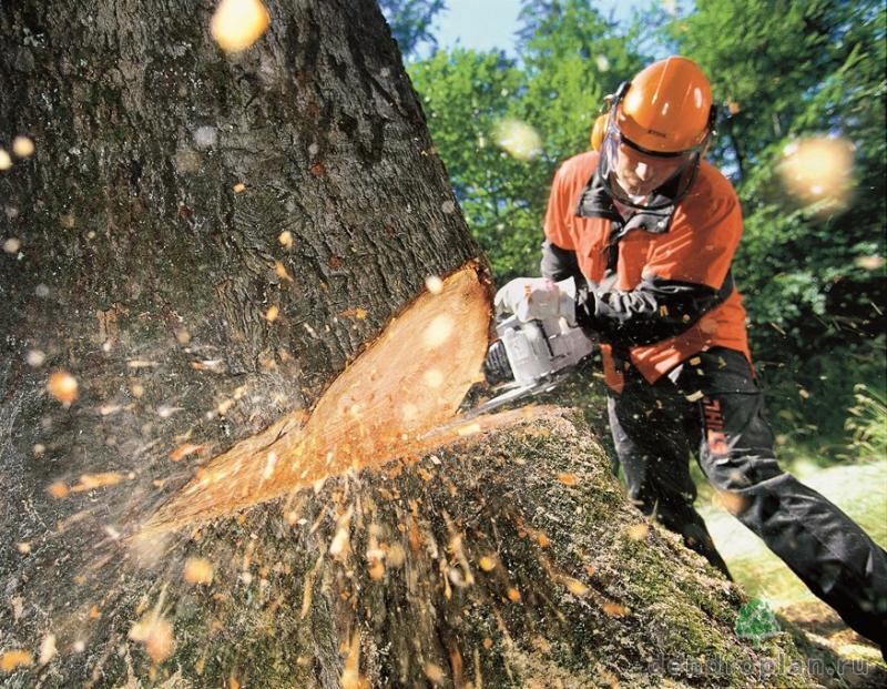 Sečnja in spravilo lesa iz gozda Cveto Voler s.p.