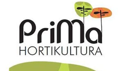 Untitled1-1475041211