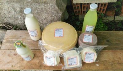 kmetijazerjal23-1462795362