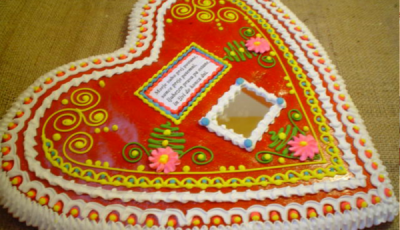 medicarstvo-damjan-celec-s-p (4)-1460101411