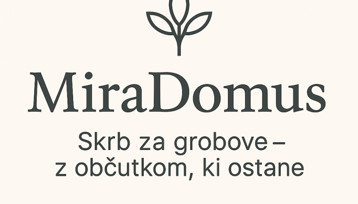 mira domus logo mira domus logo