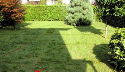 parkartvrtnarskestoritveiztokbudjasp1-1489757133